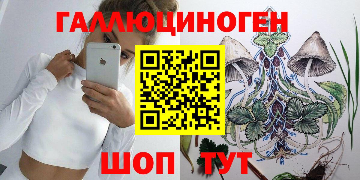 Псилоцибиновые грибы Magic Shrooms  Вход с VPN  Тихорецк  Галлюциногенные грибы прущие грибы 